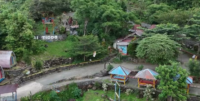 Flying Fox